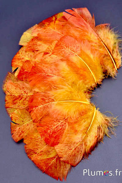Dinde mouchetée couleur rouge - 6-8 cm - curry